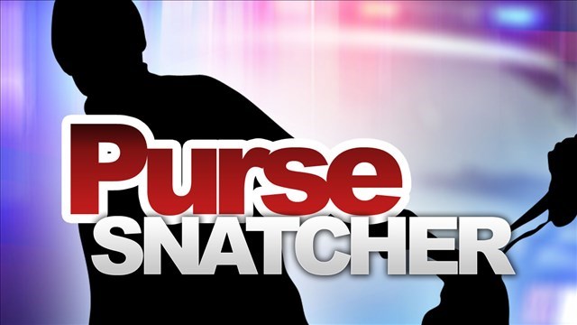 Owego Man Accused of Stealing Pennsylvania Woman’s Purse