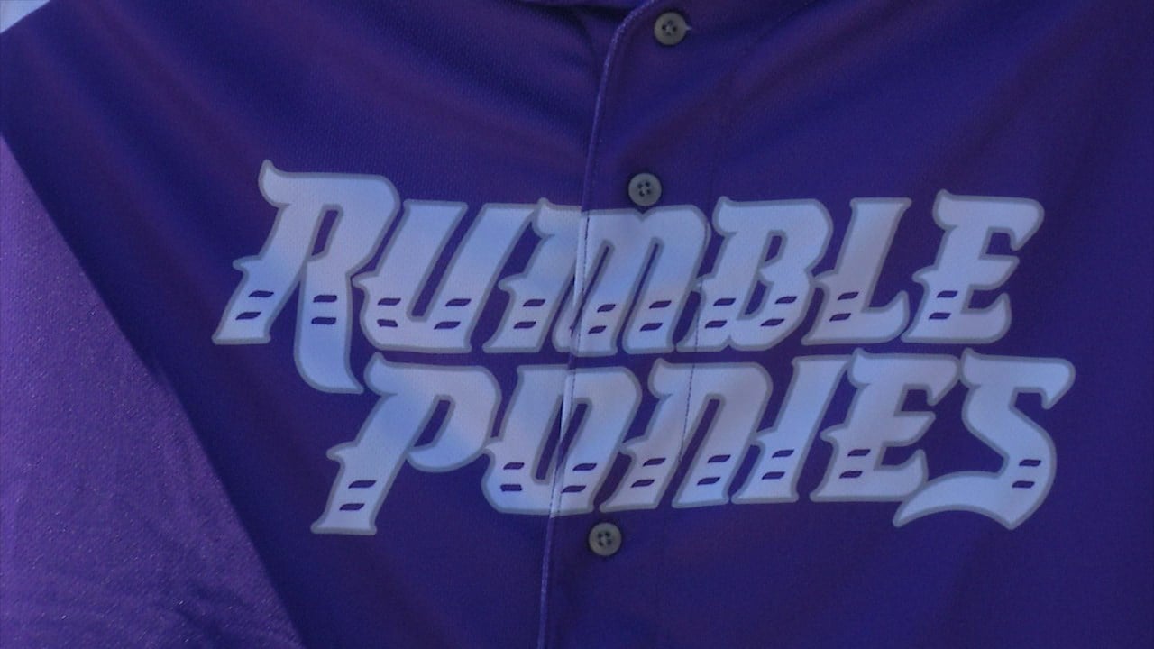 Binghamton Rumble Ponies DIFD/Mental Health Awareness Purple