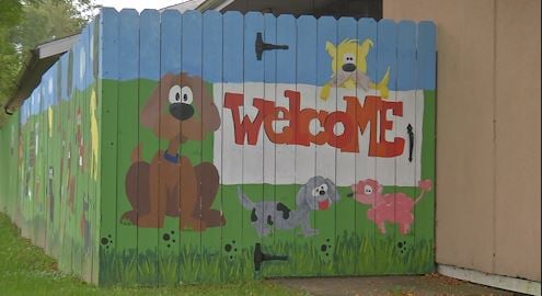 Broome County Dog Shelter Unveils Student Made Mural - WICZ