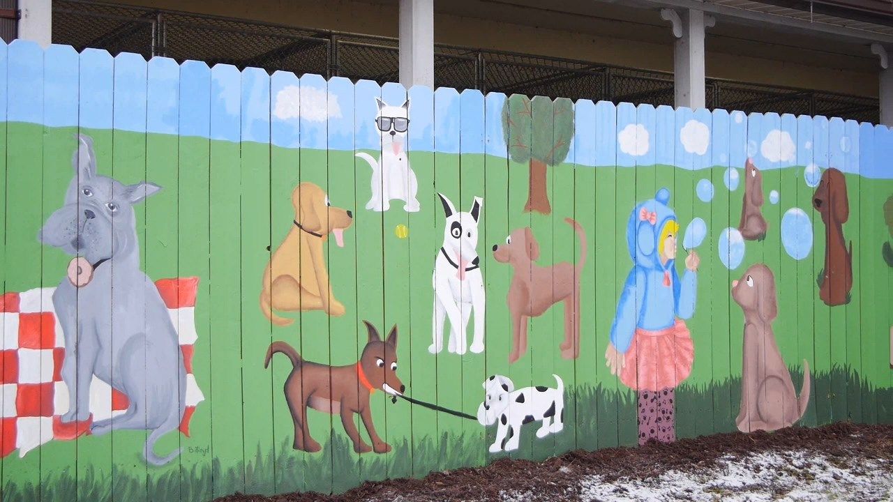 Broome County Dog Shelter Unveils Finished Mural WICZ
