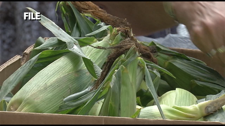 New York Starts Efforts To Vaccinate Farmers and Food ...