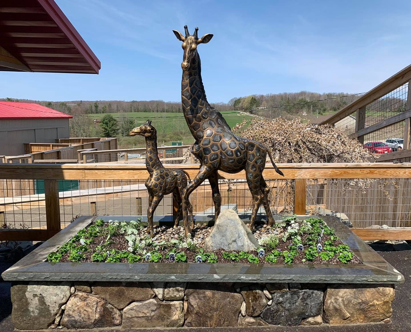 Animal Adventure Park Kicks Off Ninth Season, Introduces Young New