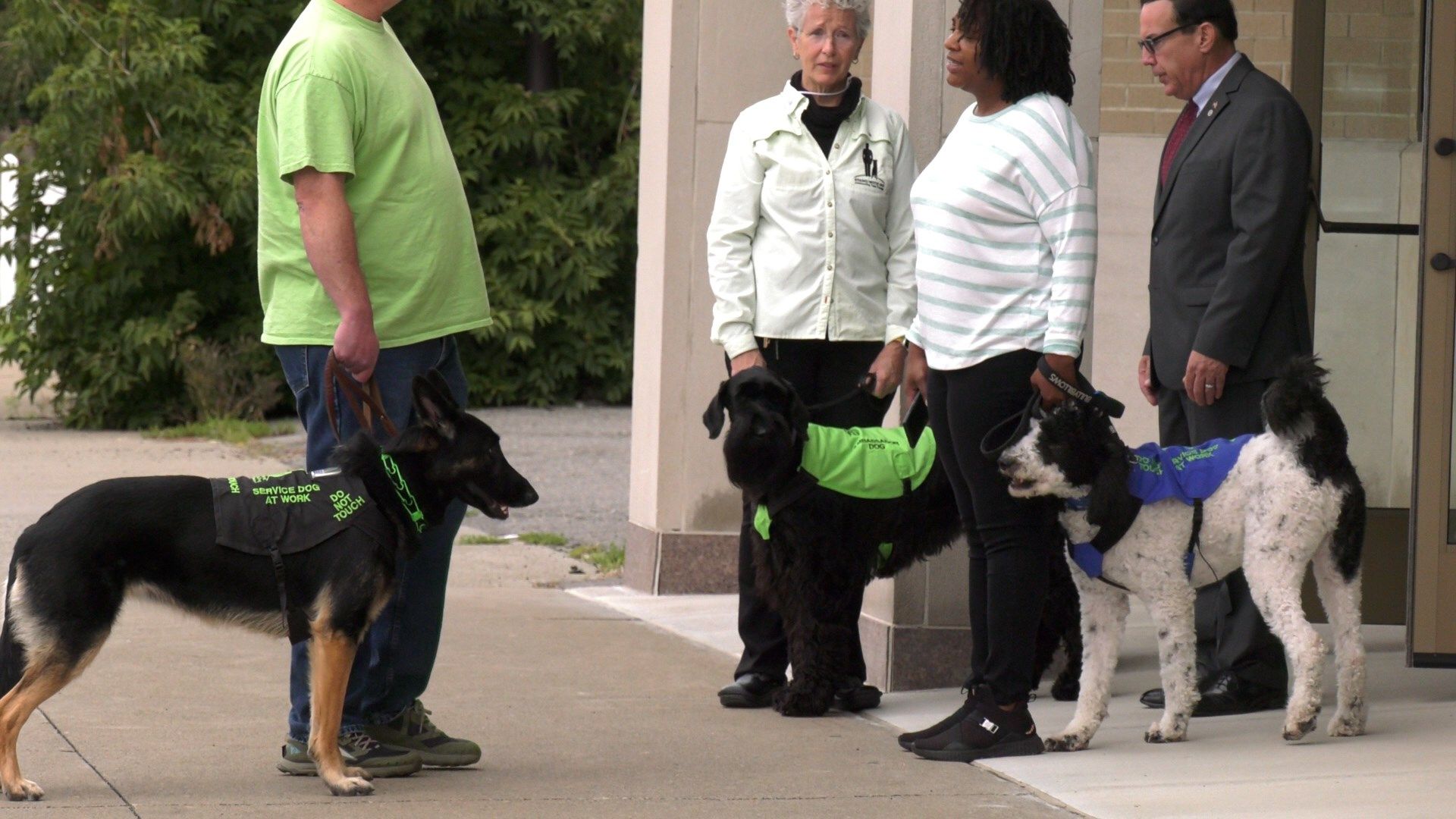 How Do I A Drug Dog Trainer