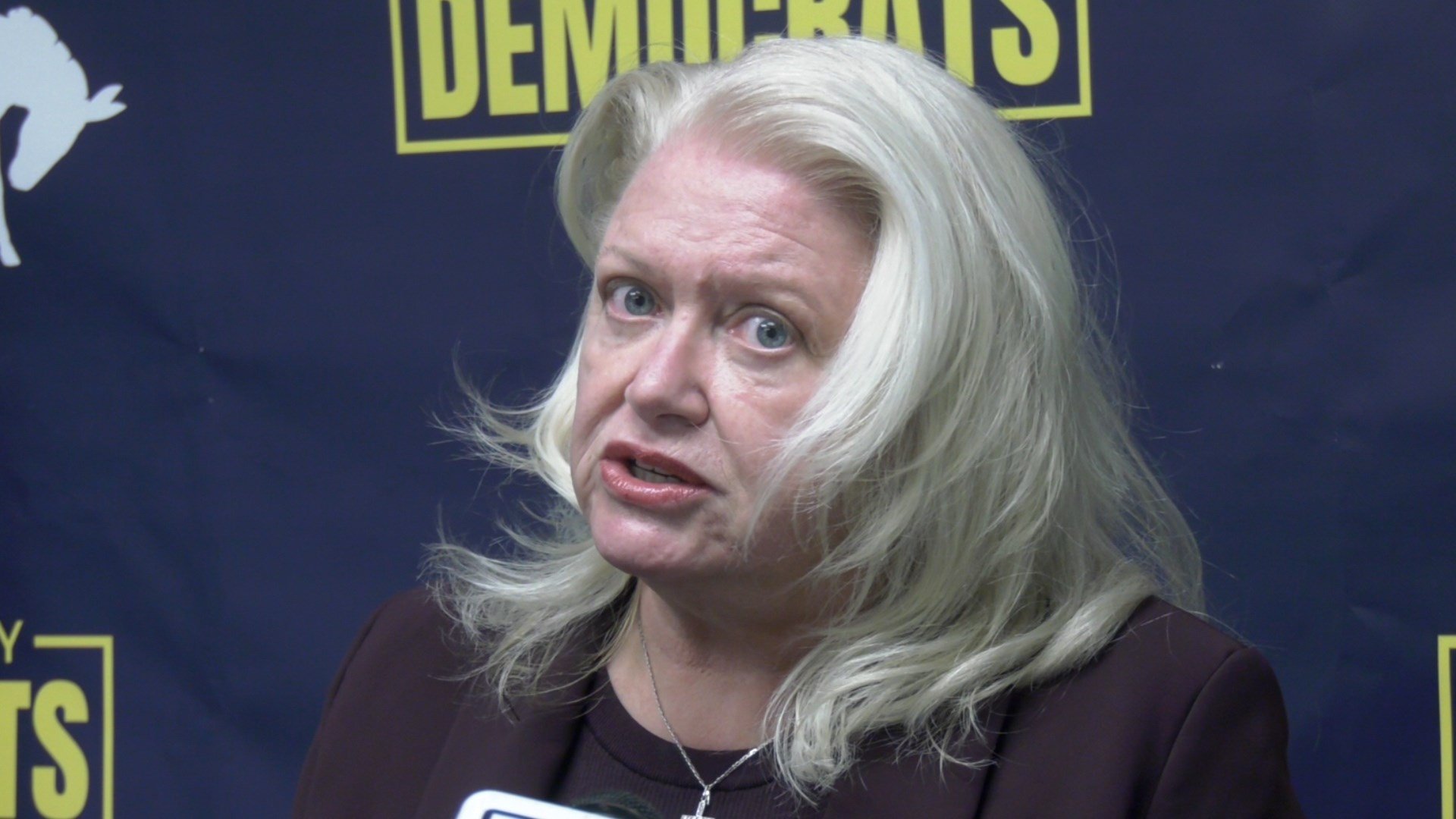 Debra Gelson Announces Candidacy for Binghamton City Court Judge WICZ Debra Gelson Announces Candidacy for Binghamton City Court Judge WICZ