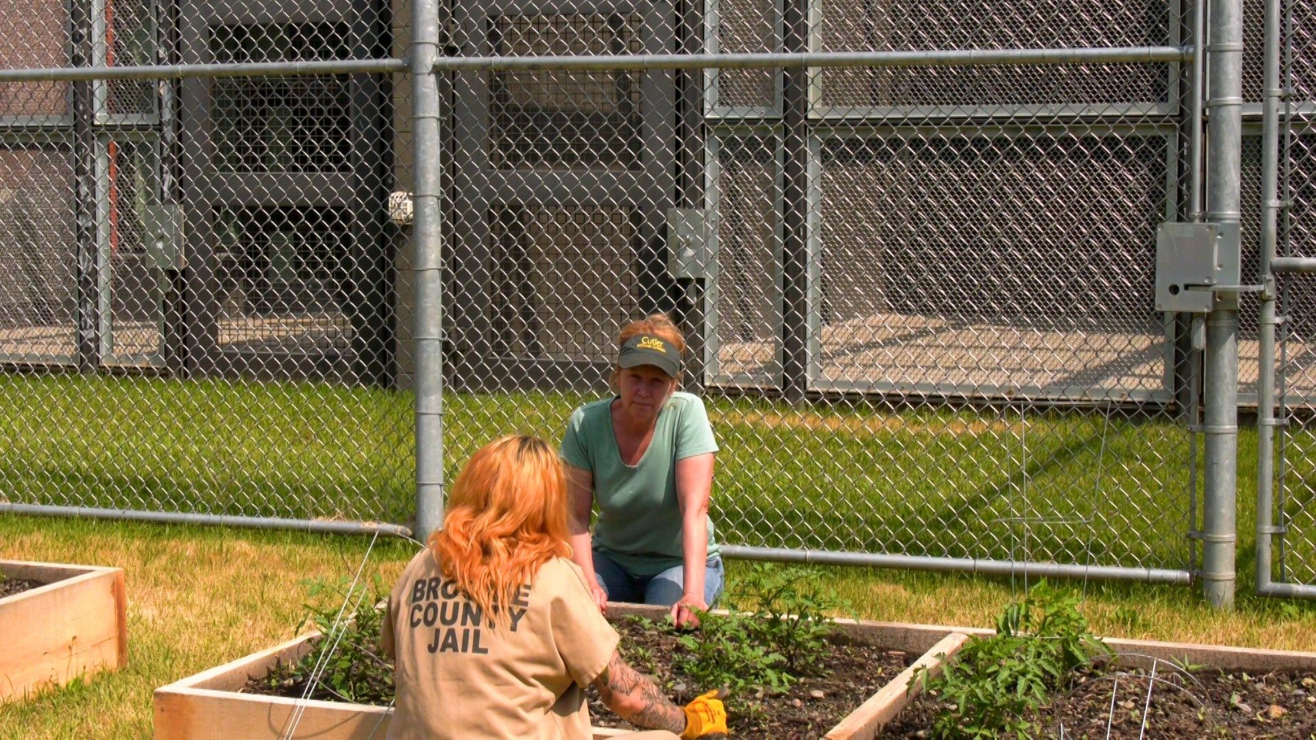 Broome County Jail Inaugural Garden Program in Full Swing WICZ