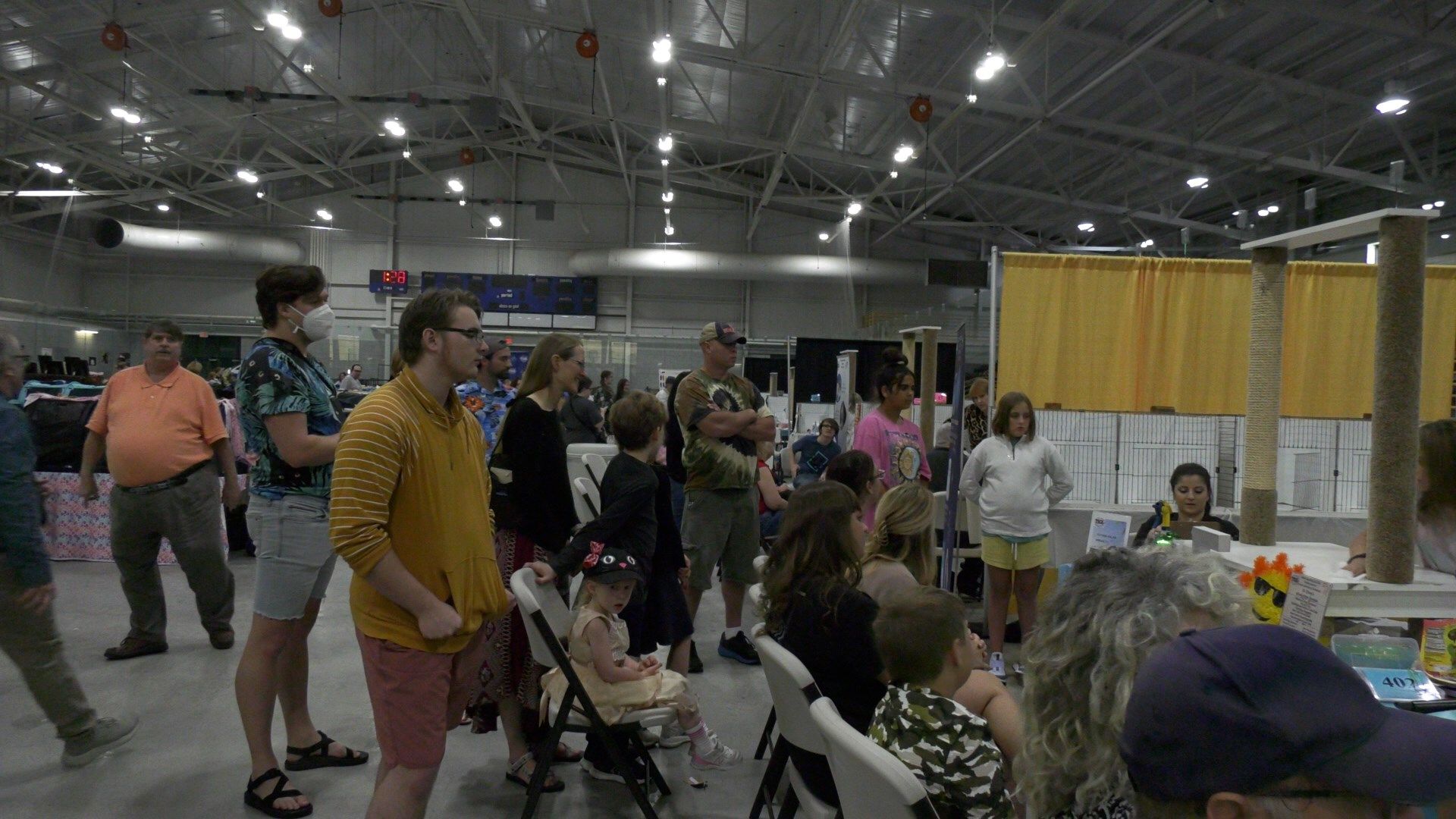 The International Cat Association Hosts "Cat Show" at SUNY Broome WICZ
